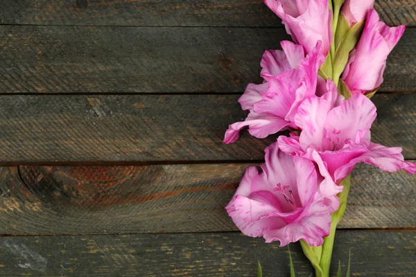 Bellissimo gladiolo su sfondo di legno — Foto Stock