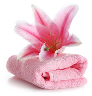 Güzel spa kompozisyonu