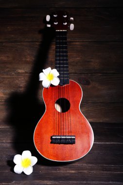 Güzel Hawaii akustik gitar