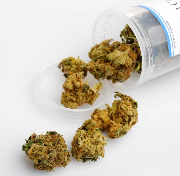 Dry medical cannabis — Stock Photo, Image