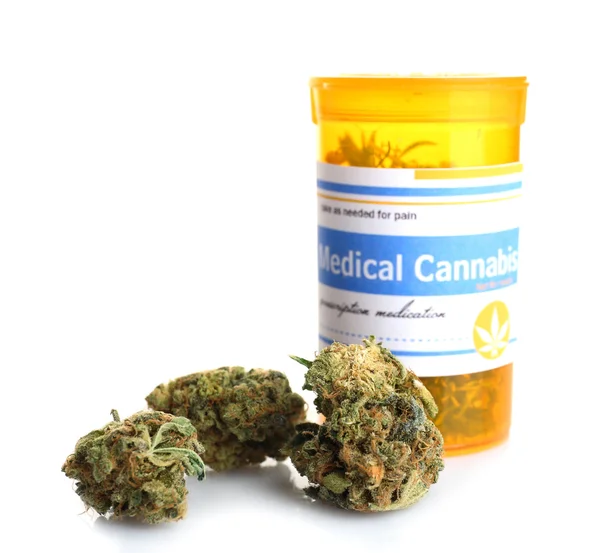 Cannabis medicinal seca — Fotografia de Stock