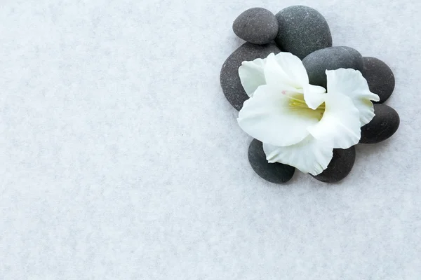 Wellness-Steine mit Blume — Stockfoto