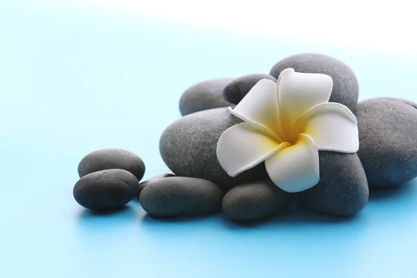 Spa kamienie z kwiatem — Zdjęcie stockowe