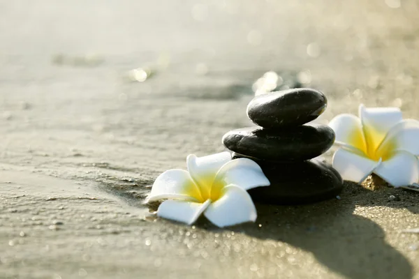 Pebbles with plumeria on seashore — Stock Photo, Image