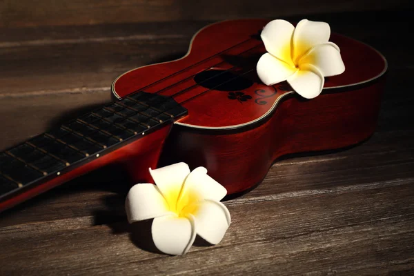 Hawaiian guitar and flowers — Stock Photo, Image