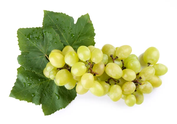 Сочный виноград с листом, изолированным на белом — стоковое фото