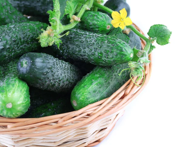 Weidenkorb mit Gurken isoliert auf weiß — Stockfoto