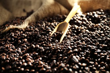 aromatik kahve çekirdekleri