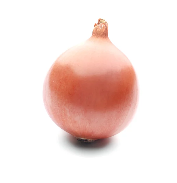 Single ripe Onion — Stock Photo, Image