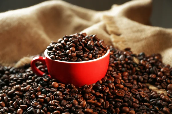 Aromatische koffie bonen — Stockfoto