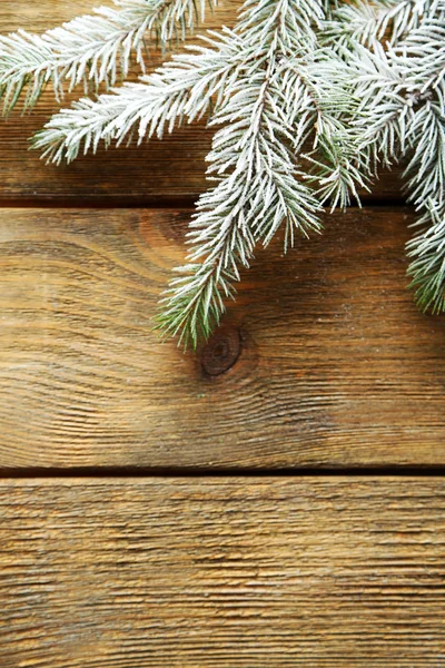 Christmas tree with frost on old wooden table — Stock Photo, Image