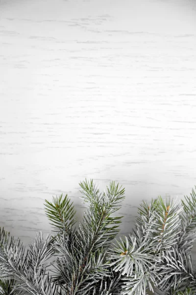 Christmas tree with frost on old wooden table — Stock Photo, Image