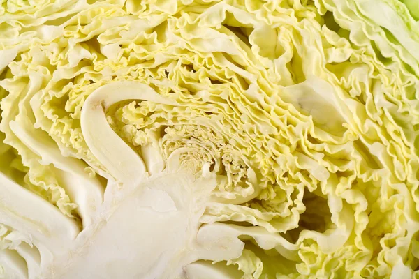 Half of savoy cabbage closeup — Stock Photo, Image