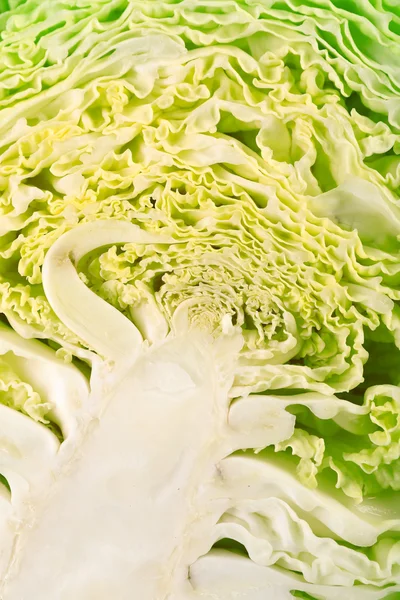 Half of savoy cabbage closeup — Stock Photo, Image