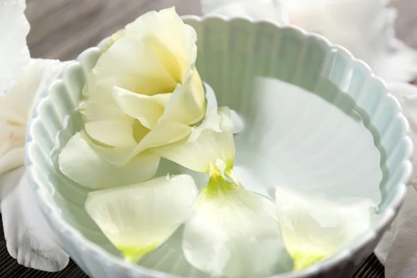 Blomblad i skål med vatten på trä bakgrund — Stockfoto