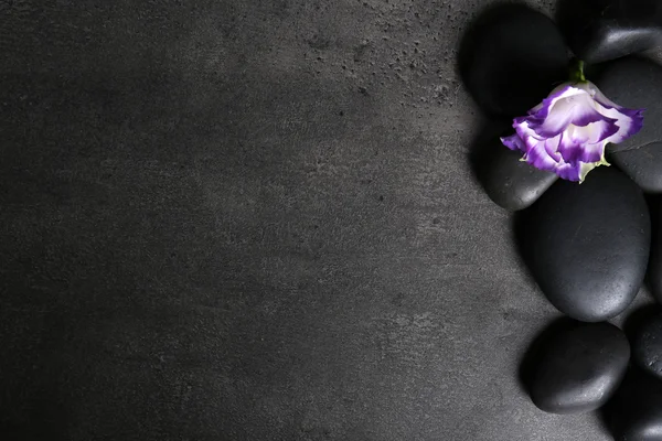 Composición de guijarros y hermosa flor sobre fondo gris oscuro, espacio vacío —  Fotos de Stock