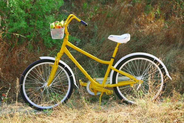 Корзина сочных фруктов на велосипеде — стоковое фото