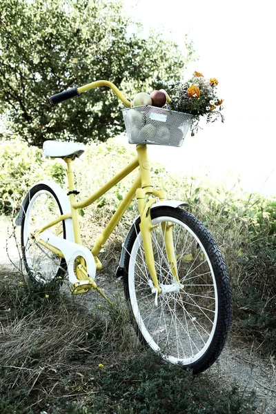 Велосипед с букетом цветов — стоковое фото