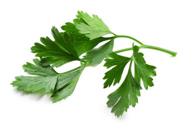 Beyaz maydanozlu taze maydanoz