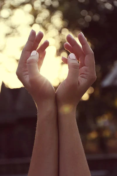 Mãos no céu da luz solar — Fotografia de Stock