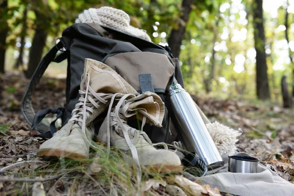 Tourist equipment in forest — Stock Photo, Image