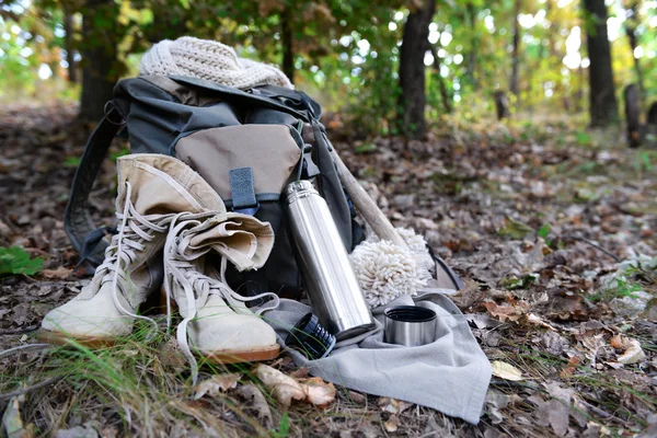 Tourist equipment in forest — Stock Photo, Image