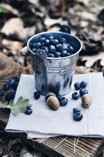 Bucket of ripe blueberry on cutting board on the ground — Stock Photo, Image