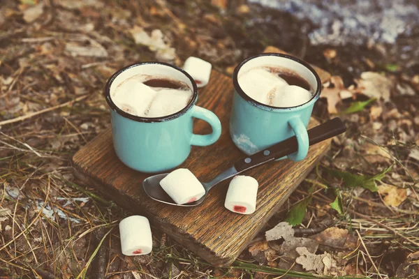 Cacao con marshmallow in tazze a terra — Foto Stock