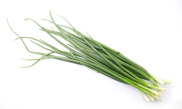 Fresh green onion isolated on white background — Stock Photo, Image