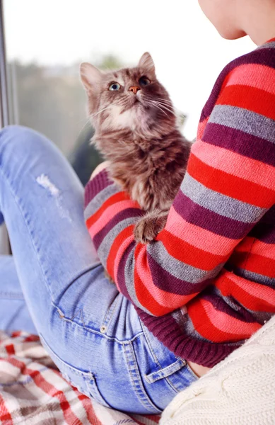 Mujer en colorido jersey sostiene en las manos hermoso gato gris cerca de la ventana —  Fotos de Stock