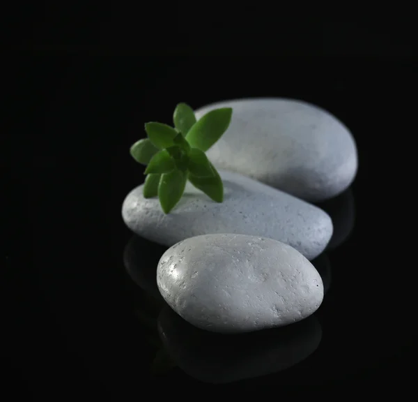 Stack de pierres et de fleurs vertes — Photo