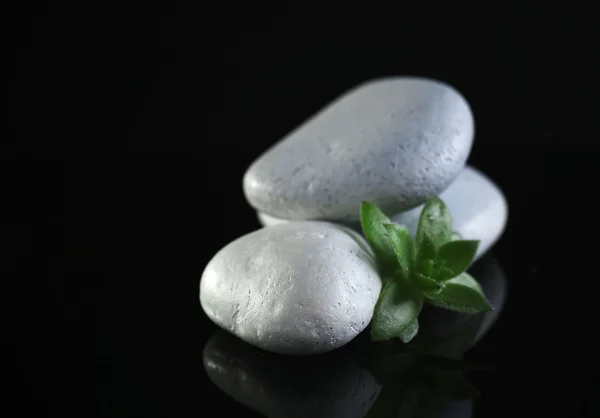 Stapel stenen en groene bloem — Stockfoto