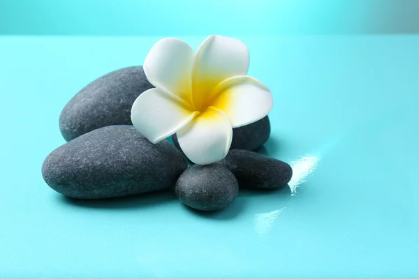 Spa stones and flower — Stock Photo, Image