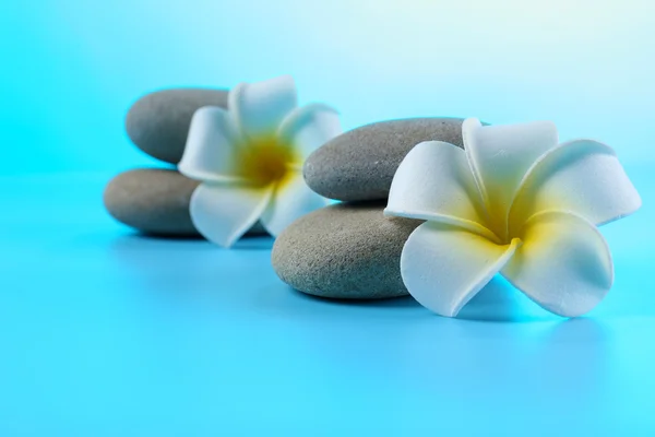 Spa stones and flower — Stock Photo, Image