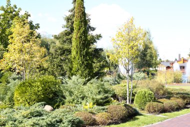 yazın güneşli bir gün parkta