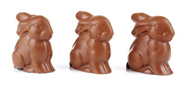 Çikolata Paskalya tavşanları, üzerinde beyaz izole