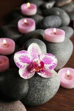 Spa taşlar ve orkide