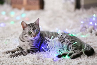 kedi dekorasyon ile Noel ağacı yakınındaki