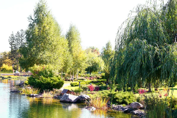 夏の公園の湖 — ストック写真