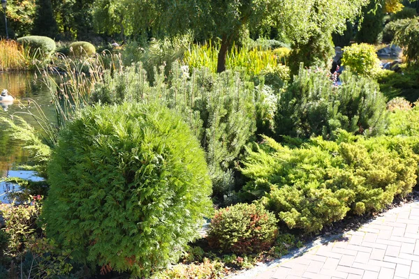 Parc en été journée ensoleillée — Photo