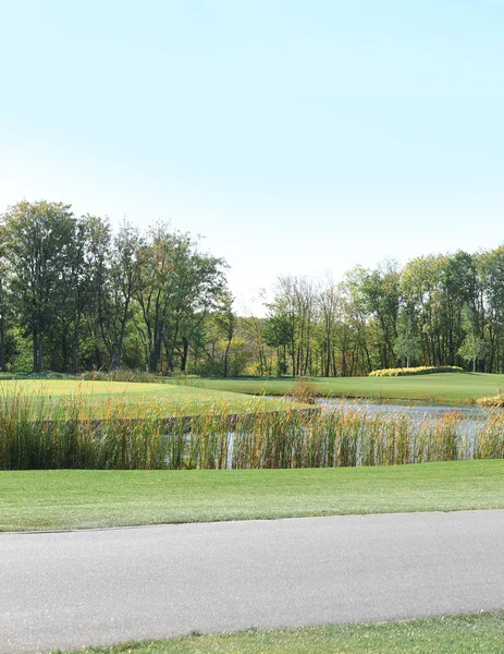 Parc en été journée ensoleillée — Photo