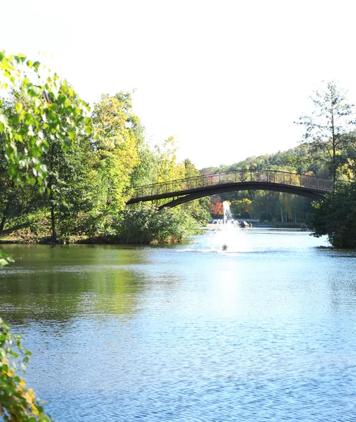 Lago no parque de verão — Fotografia de Stock