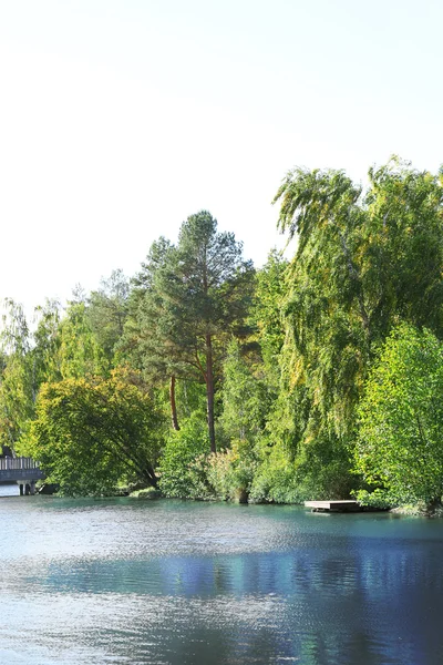 Lago no parque de verão — Fotografia de Stock