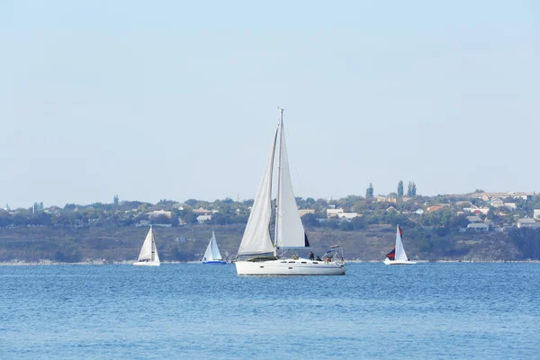 Jachten zeilregatta — Stockfoto