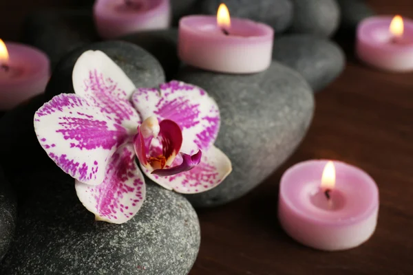 Spa stenar och orkidéer — Stockfoto