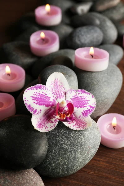 Spa taşlar ve orkide — Stok fotoğraf