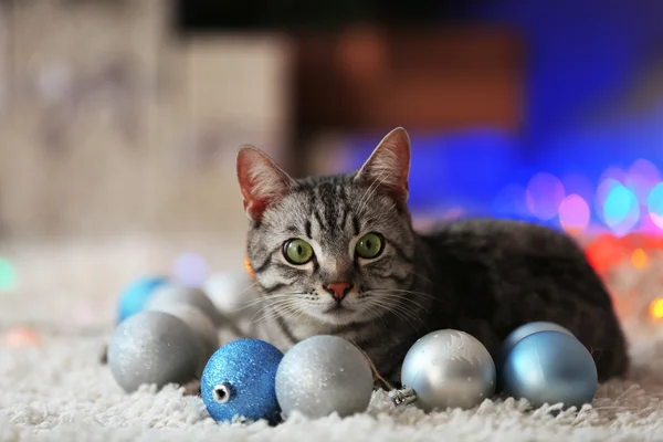 Gato cerca de árbol de Navidad con decoración — Foto de Stock