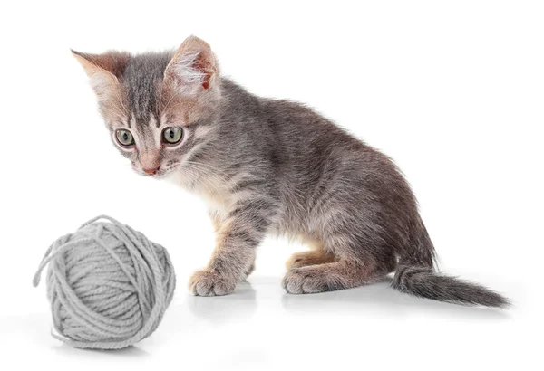 Kitten with skein of thread — Stock Photo, Image