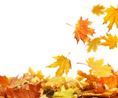 Sonbahar yığını izole bırakır