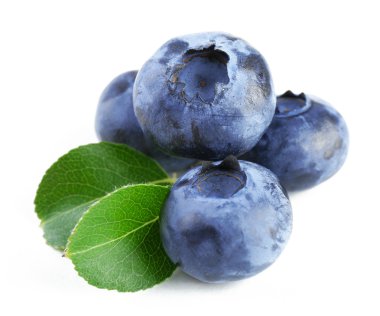 beyaz yaban mersinleri